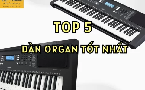 dan organ tot nhat