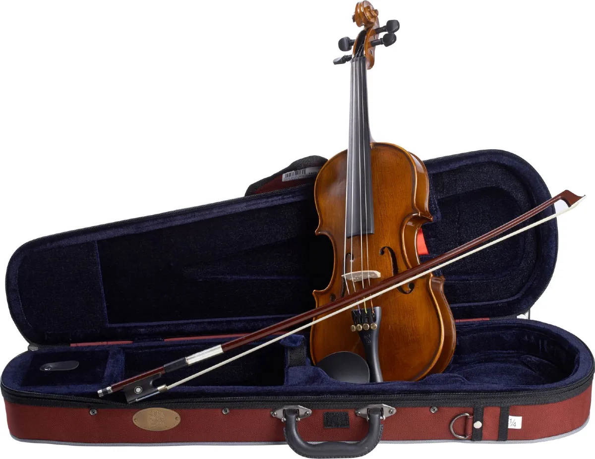 dan violin stentor