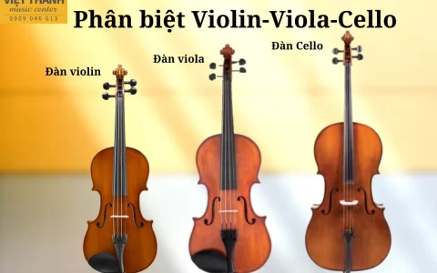 phan biet dan violin dan viola dan cello