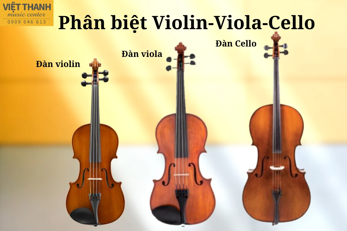 Phân biệt đàn Violin, đàn Viola, đàn Cello