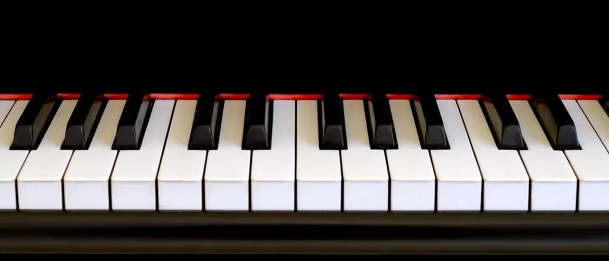 Phím đàn piano làm bằng gỗ mun