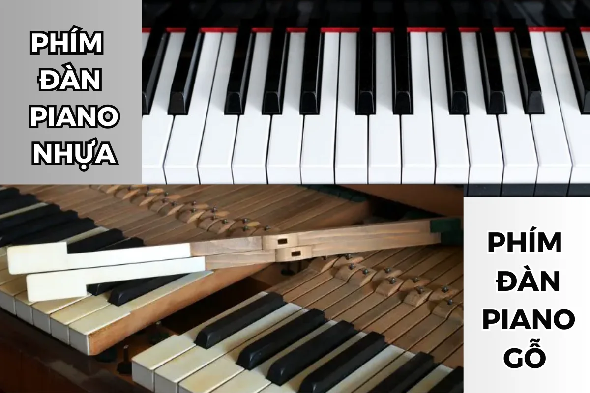 So sánh phím đàn piano gỗ và phím đàn piano nhựa