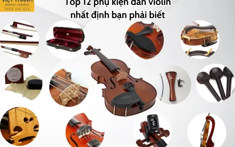 top 12 phu kien dan violin