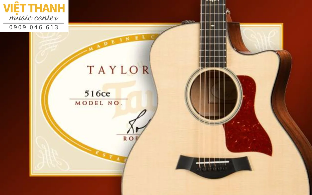 Ý nghĩa số serial trên đàn guitar Taylor – đầy đủ, chi tiết, dễ hiểu