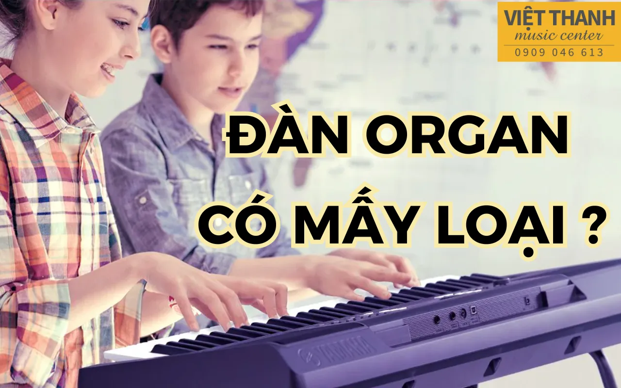 Các loại đàn organ phổ biến nhất hiện nay