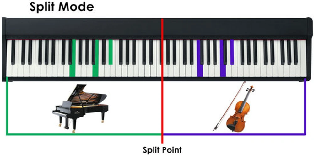 Hình ảnh mô phỏng chế độ chơi Split trên phím đàn piano điện Casio PX-S7000