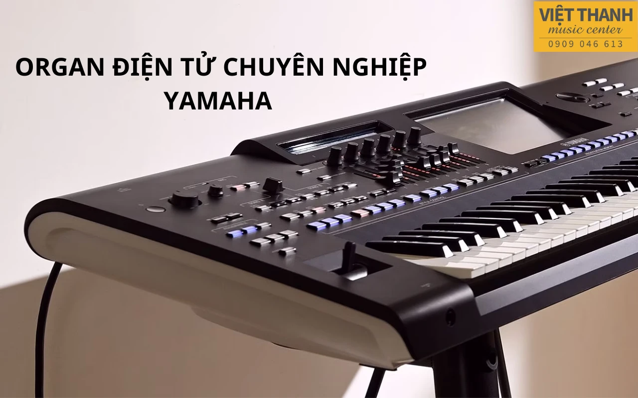 dan organ dien tu chuyen nghiep