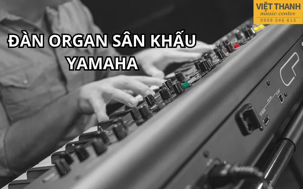 dan organ sau khau