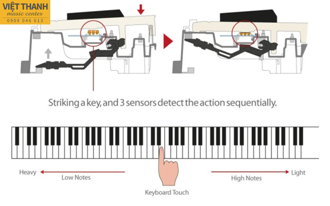 hanh dong phim dan piano dien casio