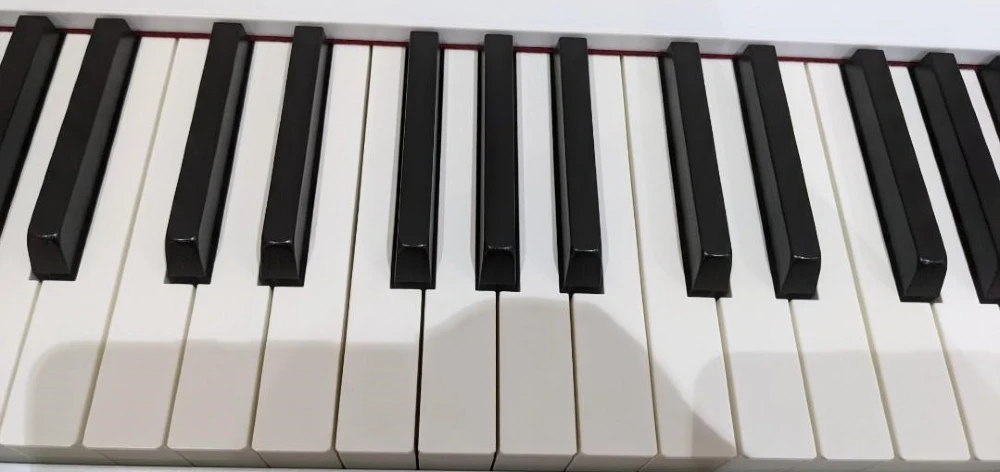 be mat phim den va trang tren piano dien casio px s1100