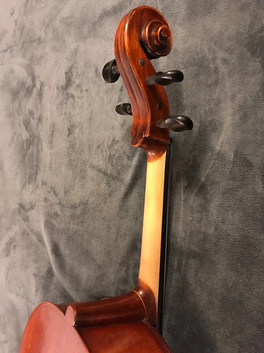 can dan cello samuel eastman vc95