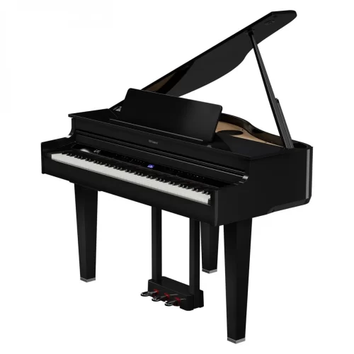 dan grand piano dien roland gp 6