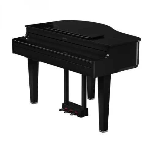 dan piano dien roland gp 6