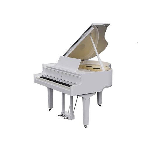 dan piano dien roland gp 9 mau trang