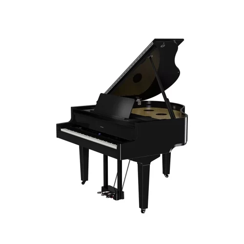 dan piano dien roland gp 9m mau den