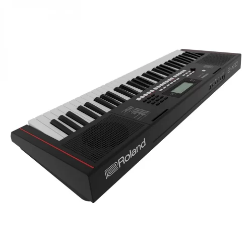 dan roland e-x10