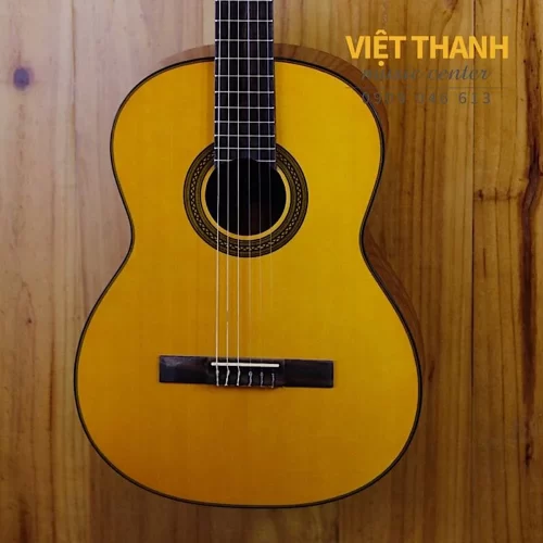 thung dan guitar takamine gc1 nat