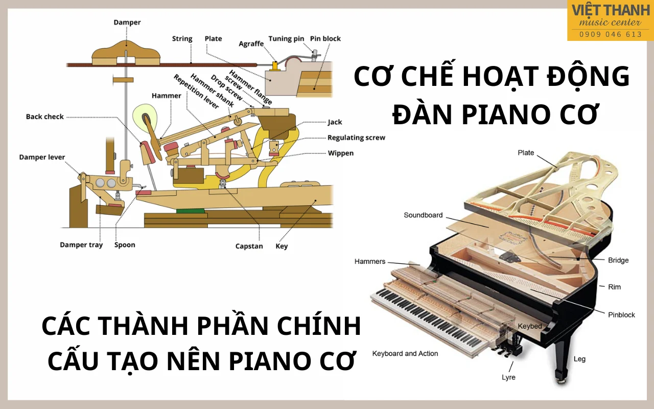 co che hoat dong dan piano co