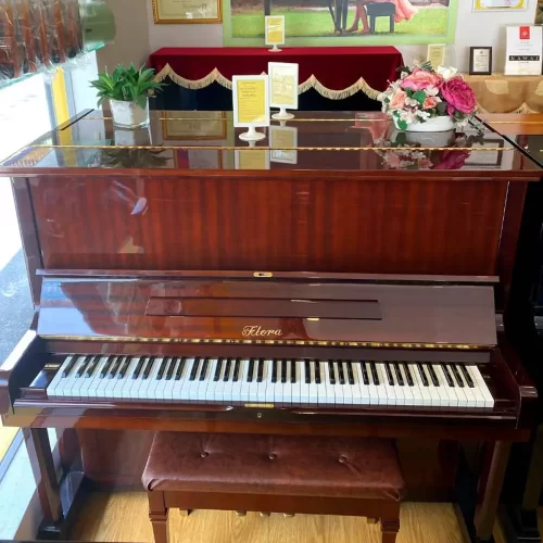 dan piano flora f26c