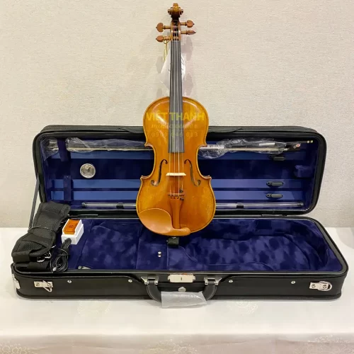 Đàn violin Andreas Eastman Series+ VL405+ chất âm ấm tự nhiên