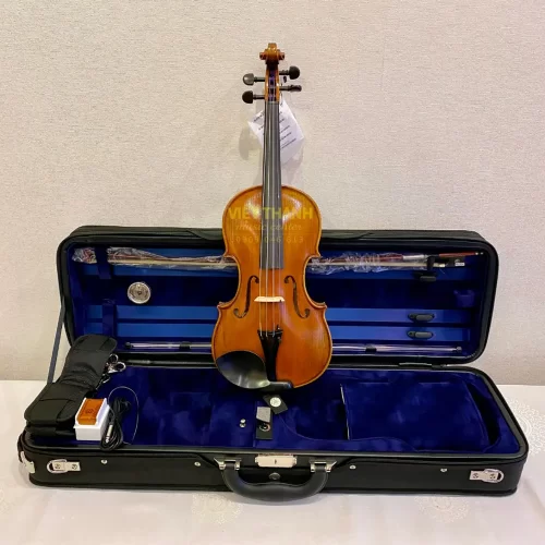 Đàn violin Eastman Albert Nebel Series+ VL601+