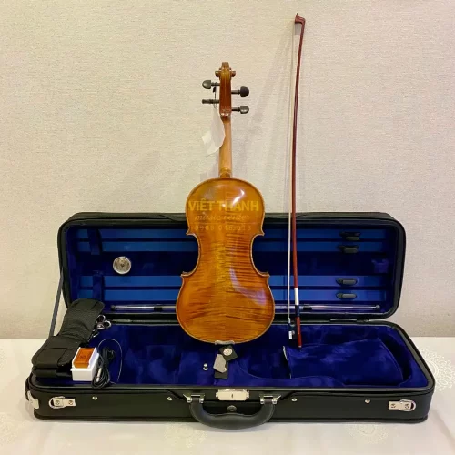 mat sau dan violin eastman albert nebel series vl601