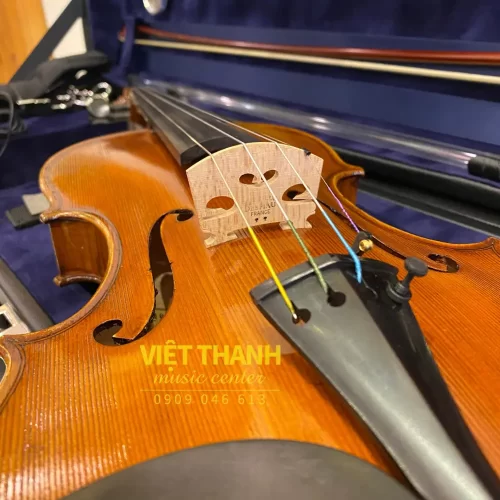 ngua dan violin eastman albert nebel series vl601