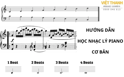 Nhạc lý piano cơ bản dành cho người mới bắt đầu