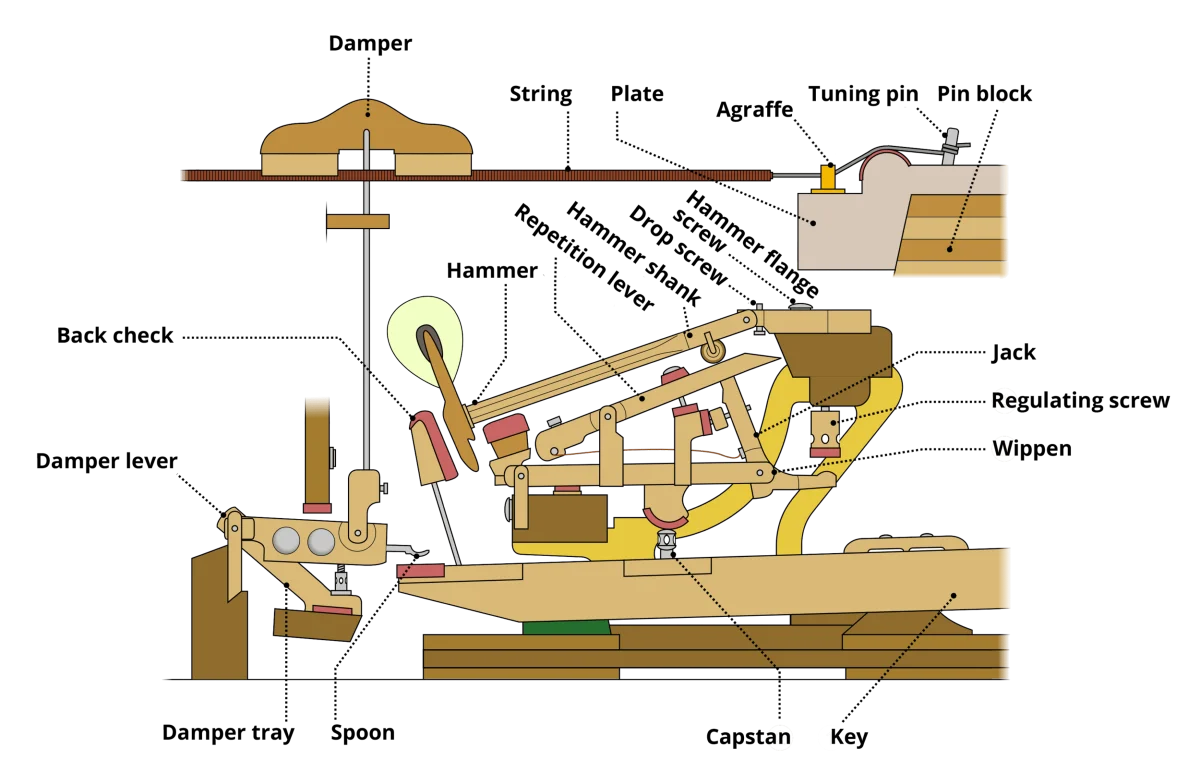 so do co che hoat dong sau khi mot phim dan piano co duoc nhan