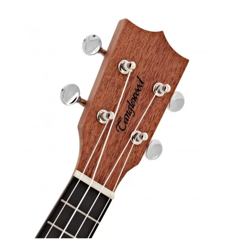 can dan dan ukulele tanglewood twt1ce