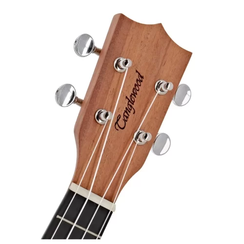 can dan ukulele tanglewood twt1