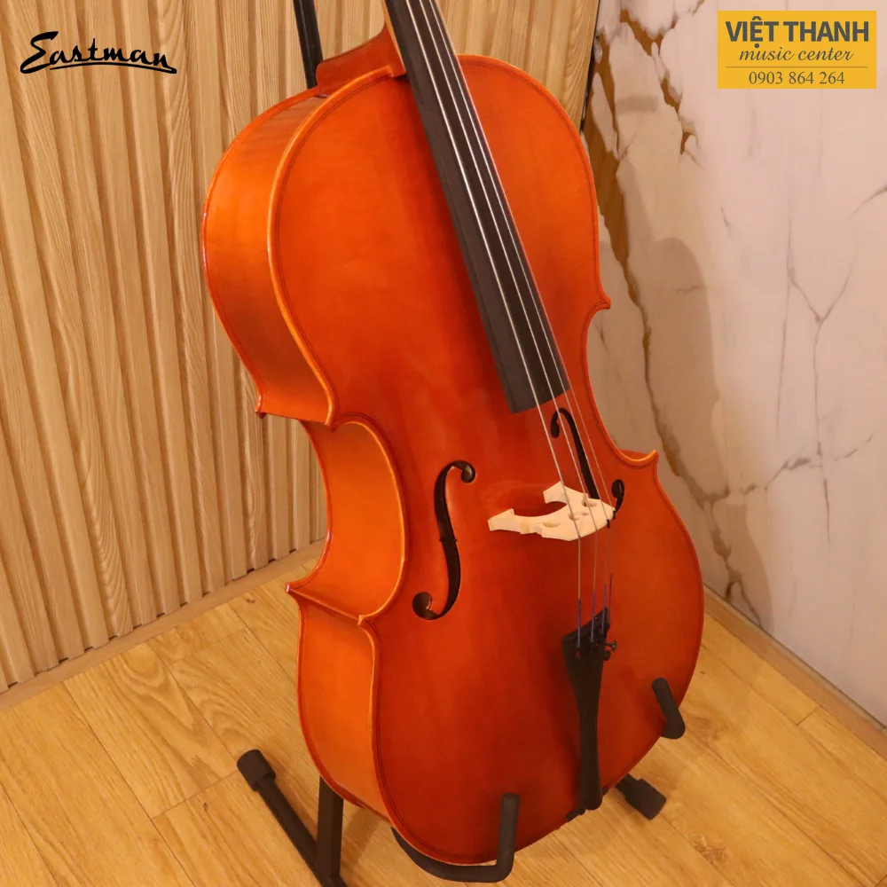 cello samuel eastman vc80