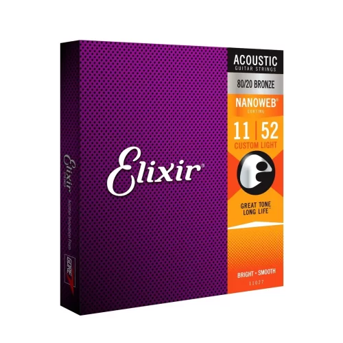 day dan guitar acoustic elixir 11027