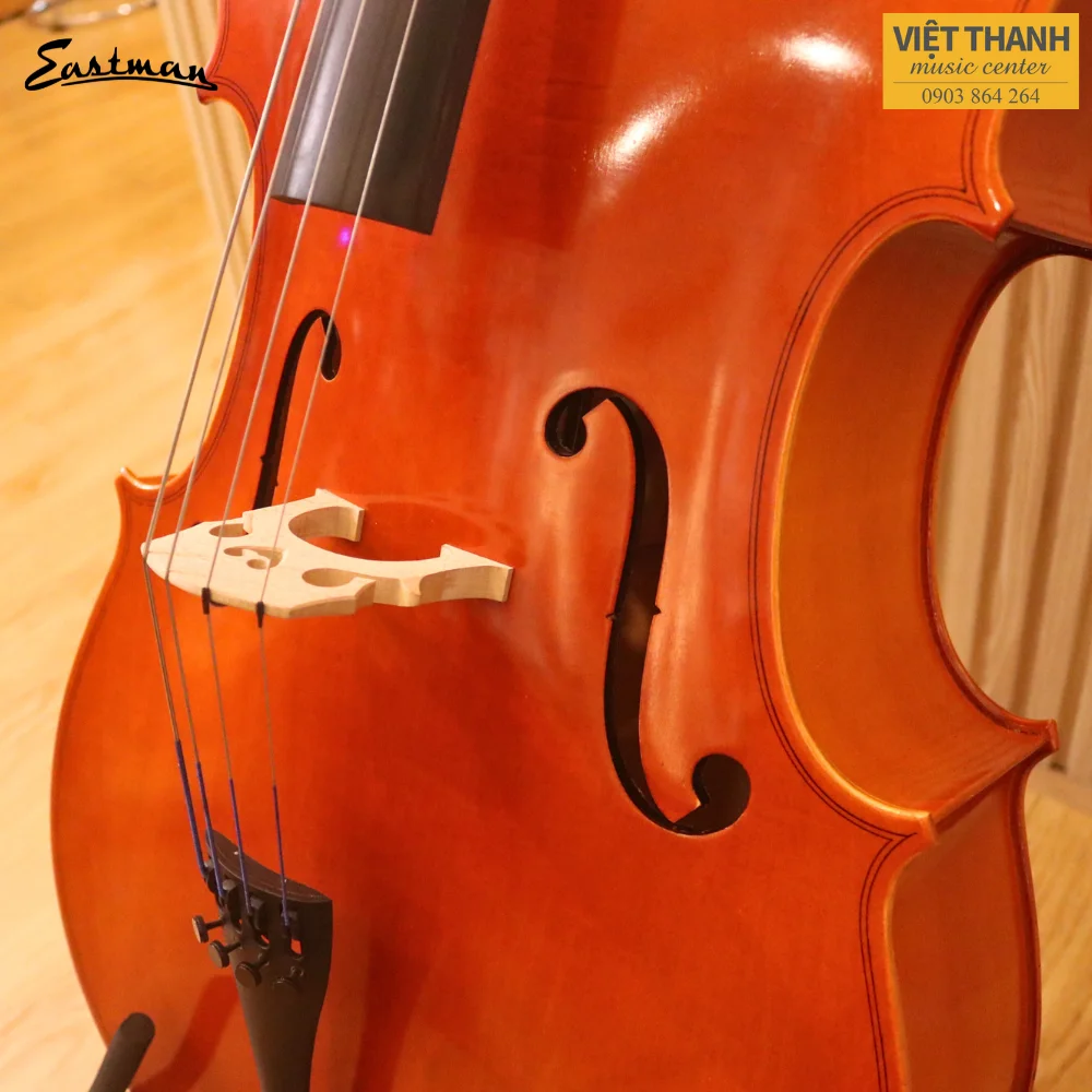 mat truoc cello samuel eastman vc80