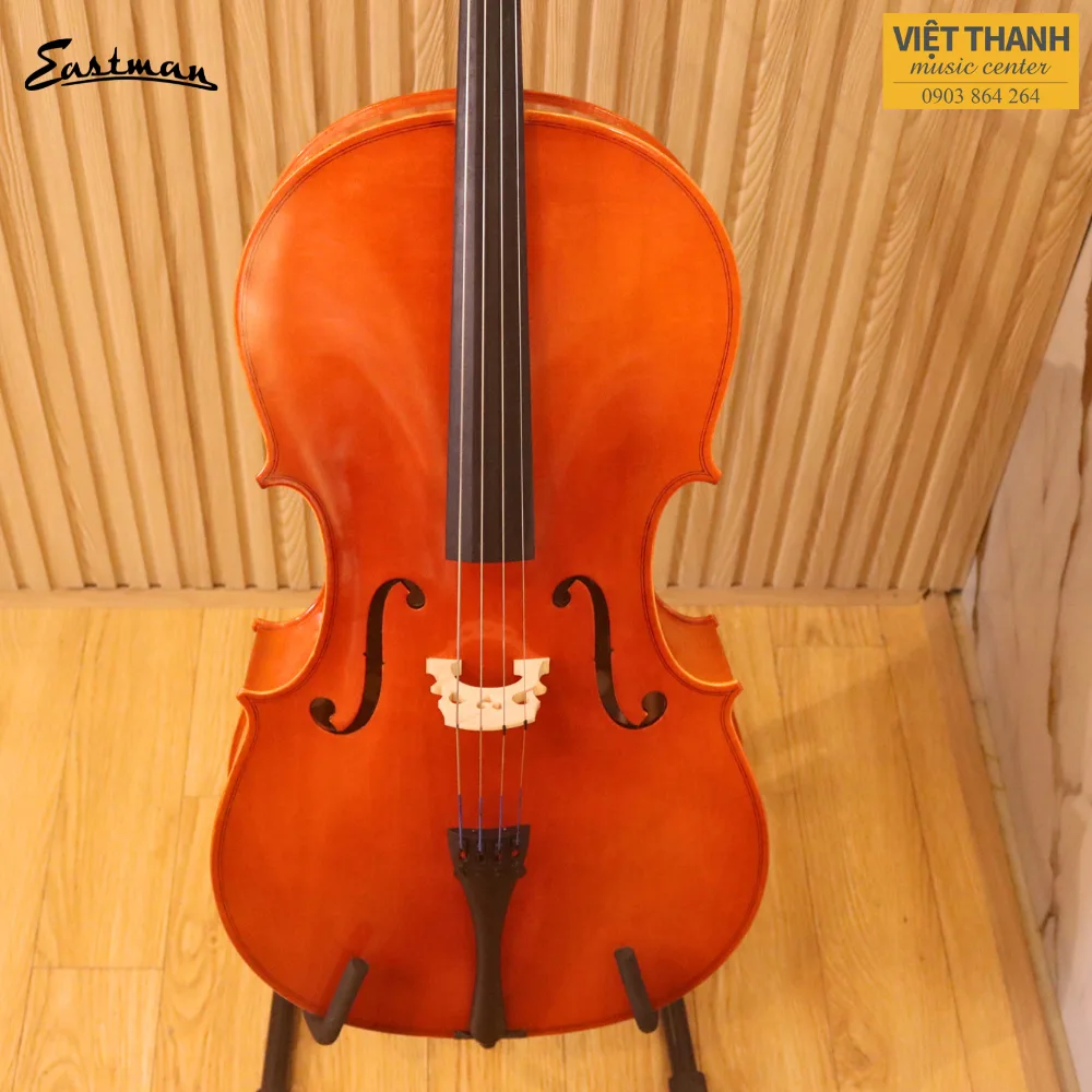 mat truoc dan cello samuel eastman vc80