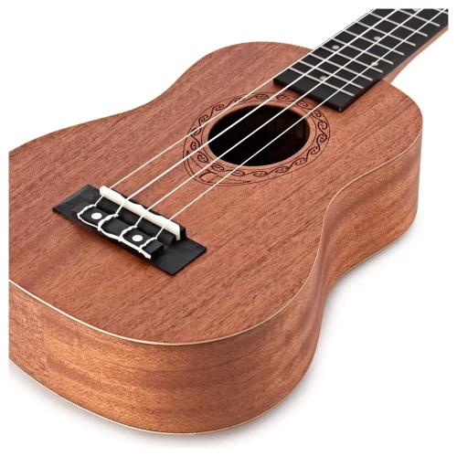 mat truoc dan ukulele tanglewood twt1