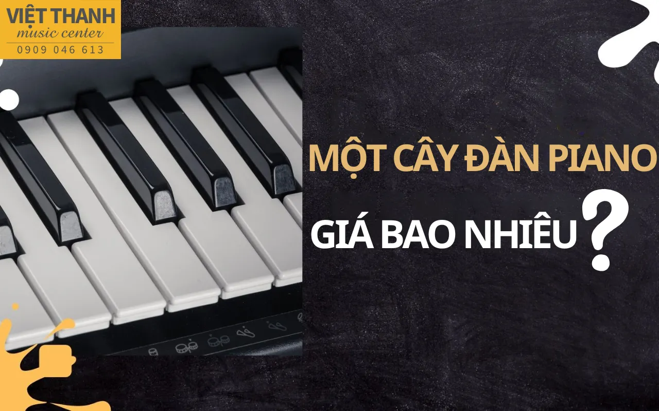 Một cây đàn piano bao nhiêu tiền? Tìm hiểu giá đàn piano