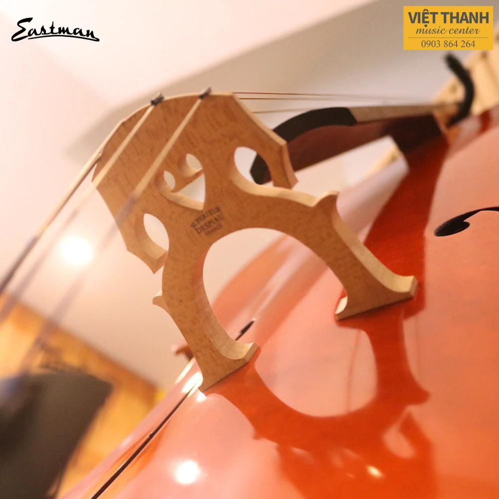 ngua cello samuel eastman vc80