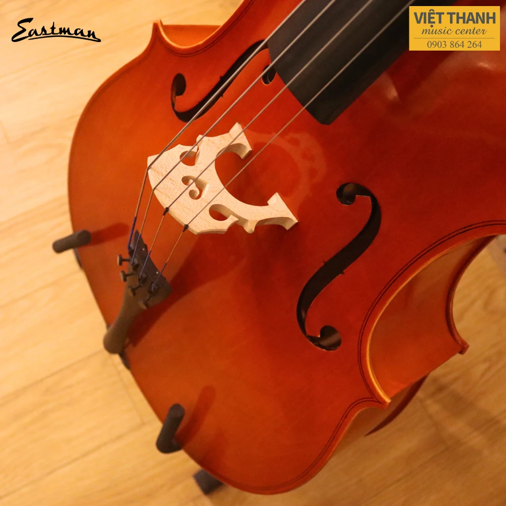 ngua dan cello samuel eastman vc80