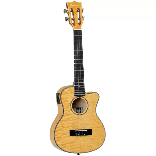 dan ukulele tanglewood twt 30 e