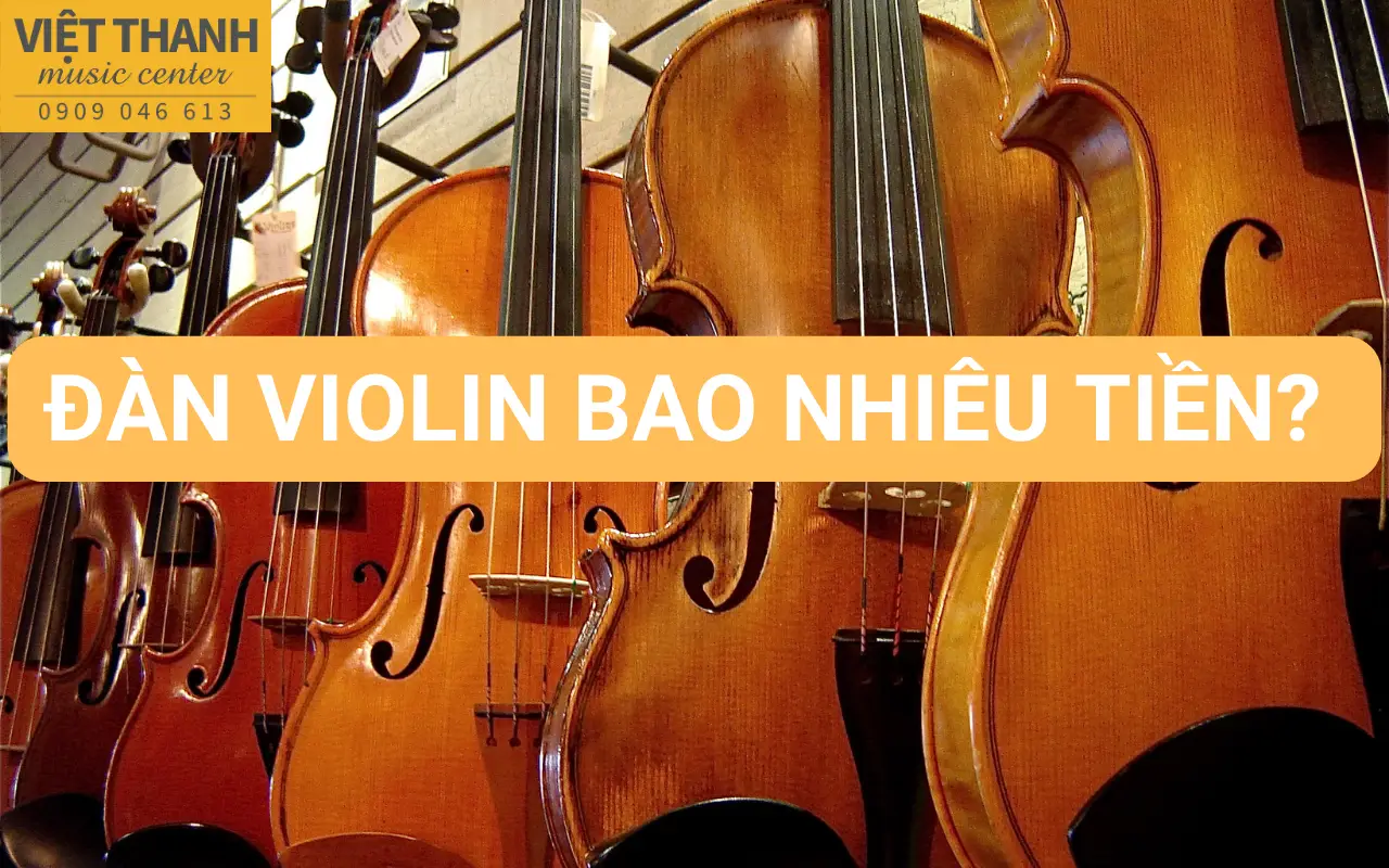 Đàn violin bao nhiêu tiền? Tổng hợp giá đàn violin mới nhất!