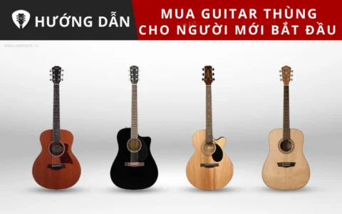 Huong dan chon mua dan guitar thung cho nguoi moi bat dau