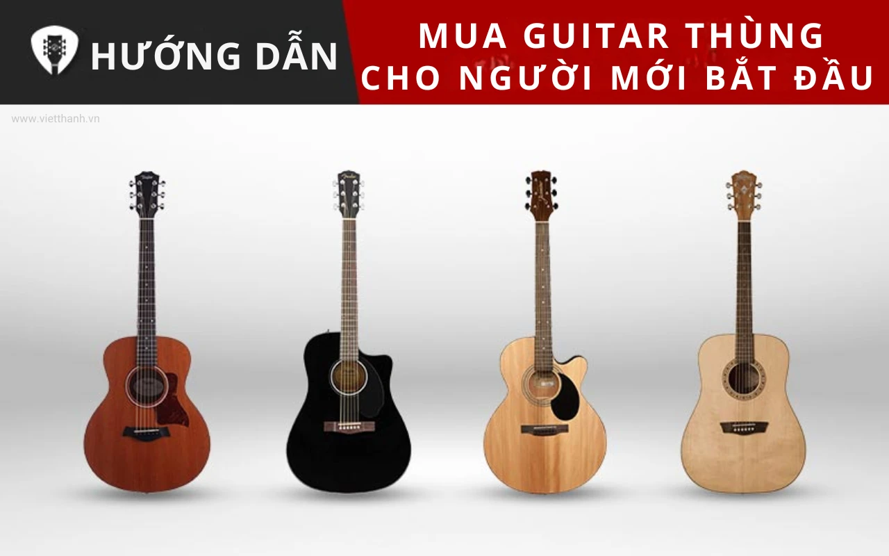 Hướng dẫn chọn mua đàn guitar thùng cho người mới bắt đầu