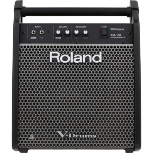 ampli trong roland pm 100