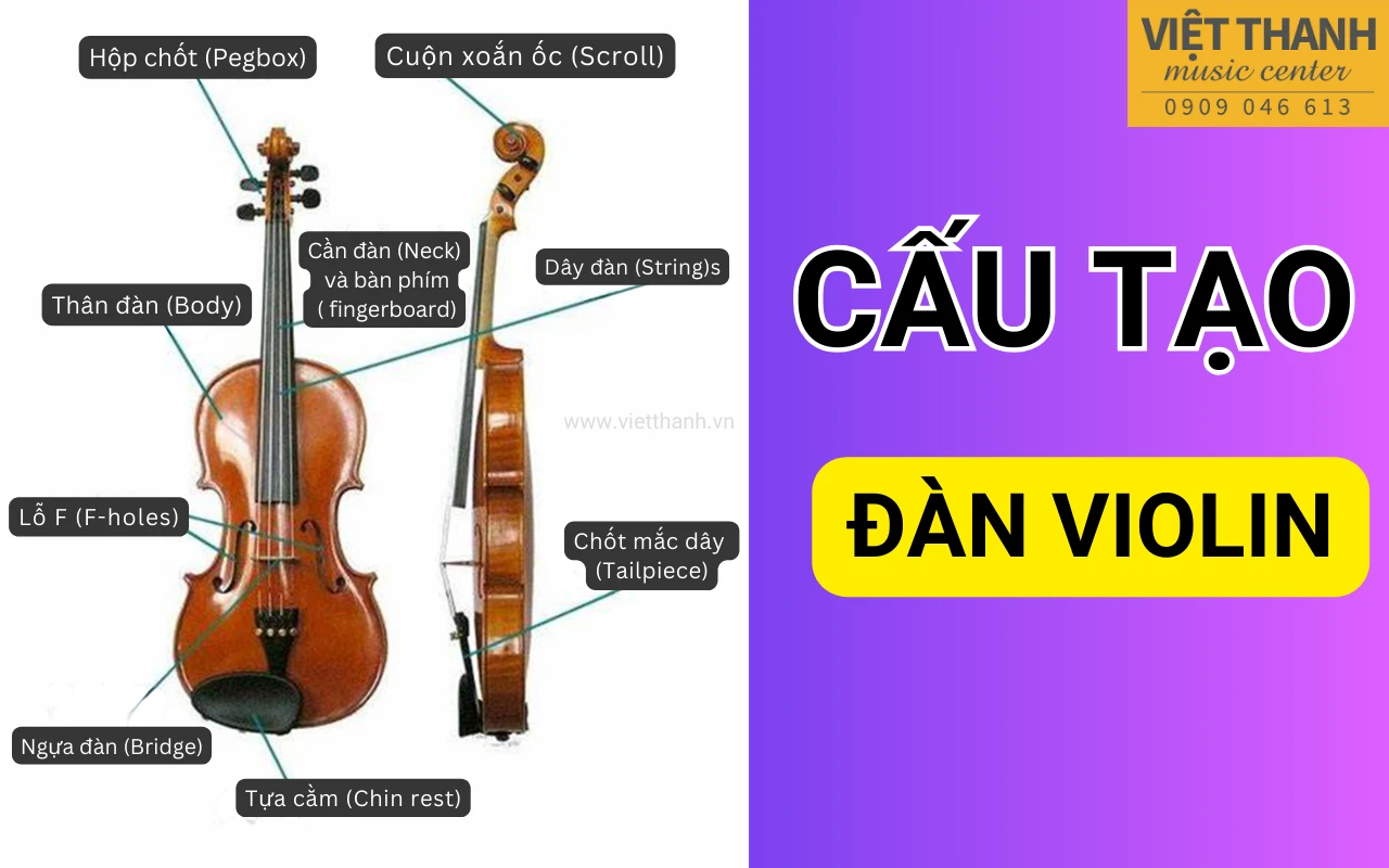 Tổng hợp các bộ phận có trên đàn violin