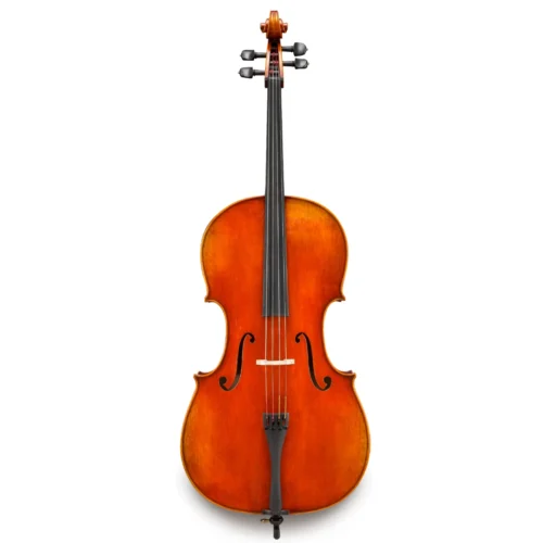 Đàn cello Eastman Frederich Wyss VC703 cao cấp, size 4/4 – 7/8