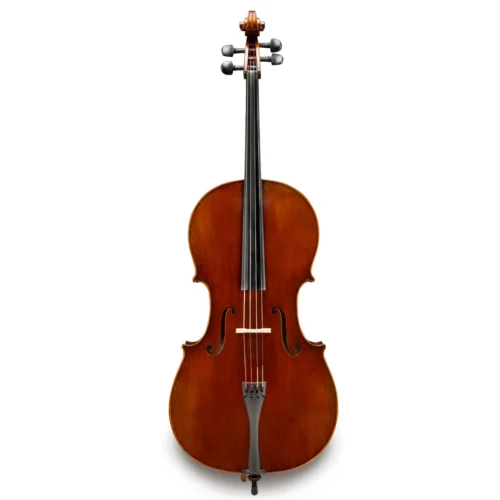 Đàn Cello Eastman Rudoulf Doetsch VC701 cao cấp, size 4/4 – 1/2