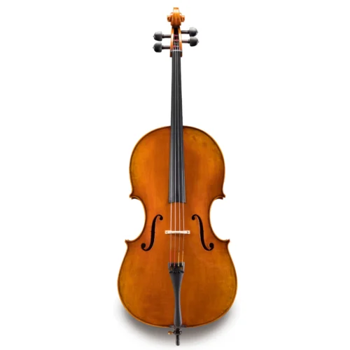 Đàn Cello Eastman Wilhelm Klier VC702 cao cấp, size 4/4 – 7/8