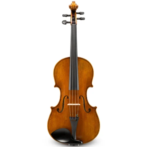 Đàn viola Eastman Albert Nebel VA601 size 16.5″ – 15″