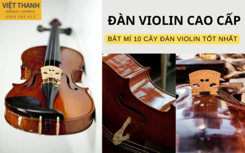 Bật mí top 10 cây đàn violin cao cấp bán chạy nhất hiện nay